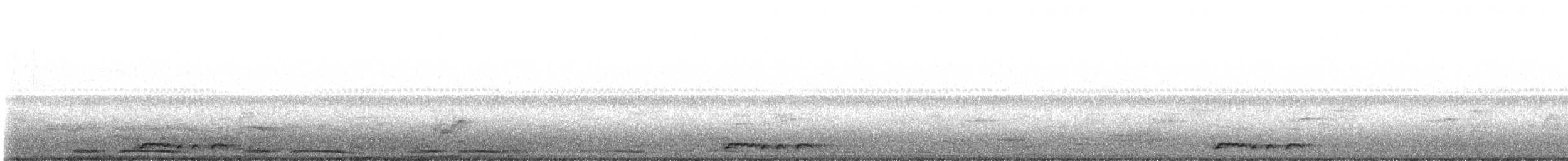 Zebra Dove - ML642049291