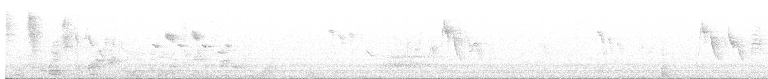 ハシブトガラ - ML642050236