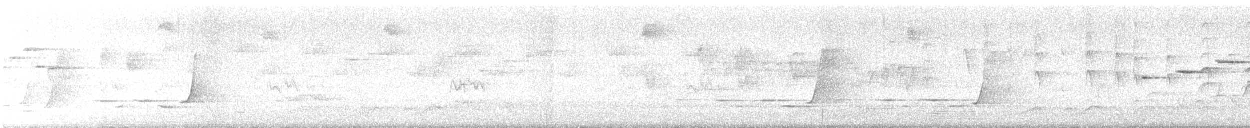 Silbador Dorado/Occidental - ML642053384