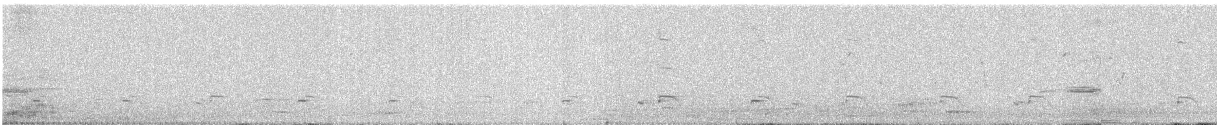 Pied Cuckoo - ML642053813