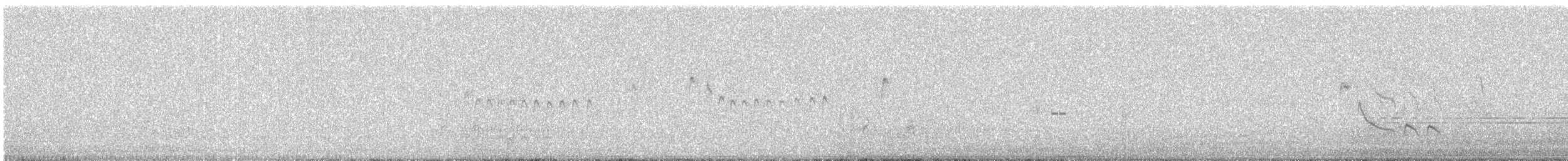 Pied Cuckoo - ML642054175