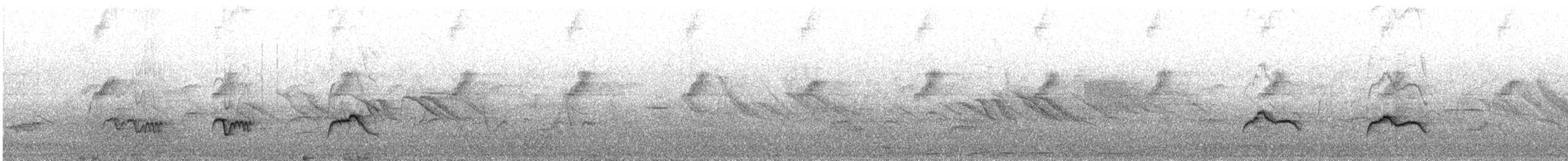 Austral Thrush - ML642054294