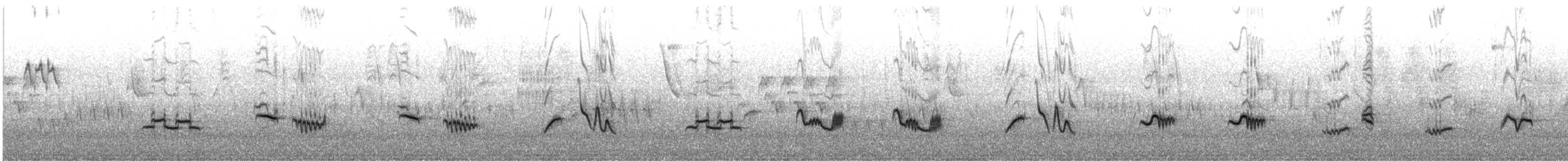 Austral Thrush - ML642054338