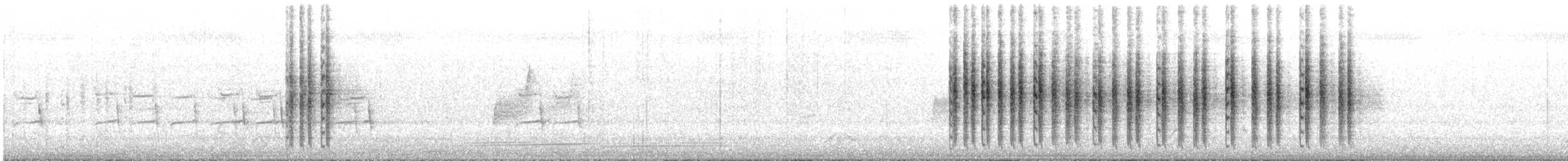 Willie-wagtail - ML642055107