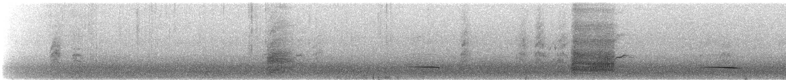 White-winged Chough - ML642055108