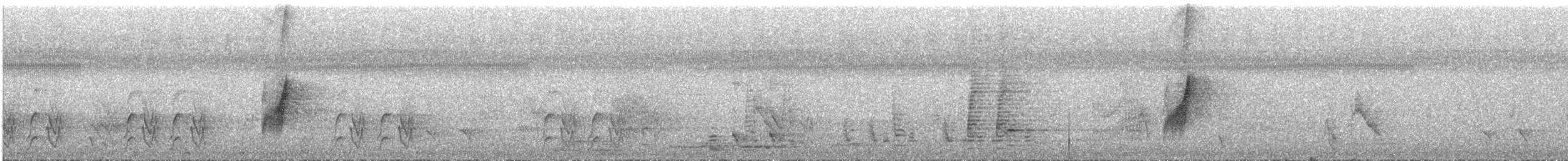 Restless Flycatcher - ML642055382