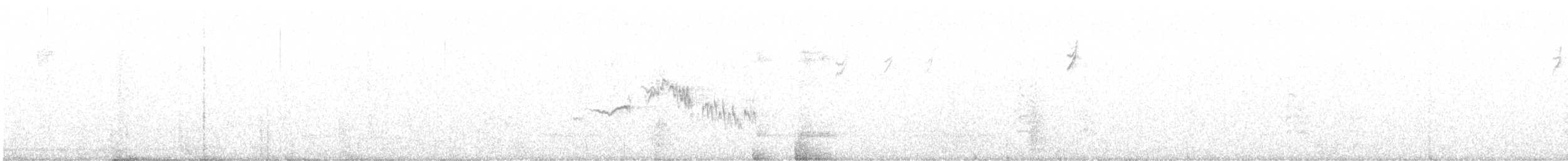 hvitkronespurv - ML642056992