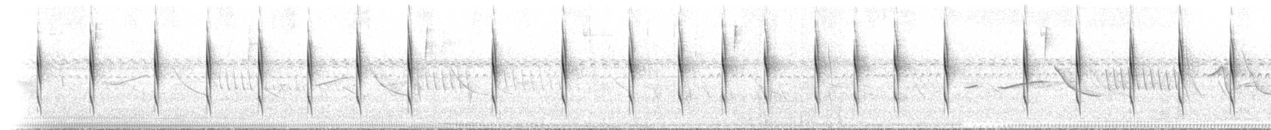 Curve-billed Reedhaunter - ML642059410
