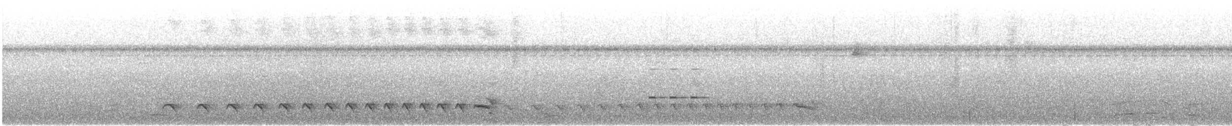 kullmaurvarsler - ML642060815