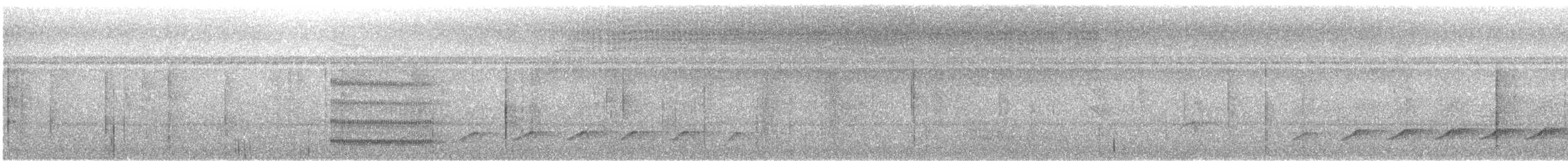 Northern Bentbill - ML642063519