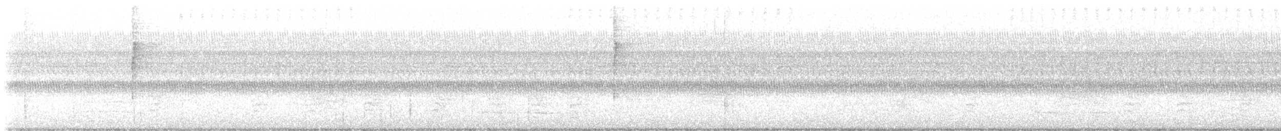 Connecticut Warbler - ML642066644