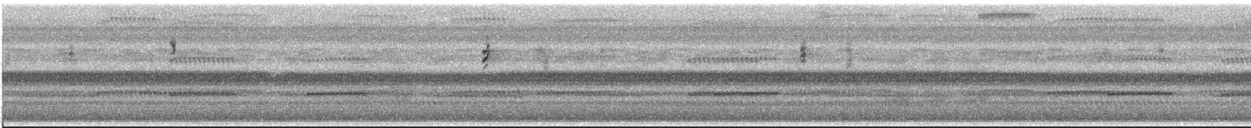new world warbler sp. - ML642072239