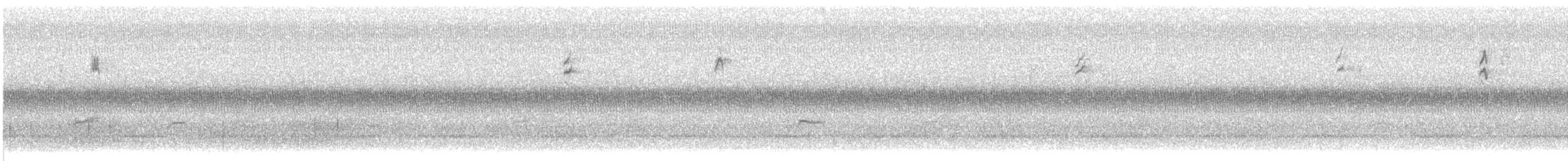 new world warbler sp. - ML642072794