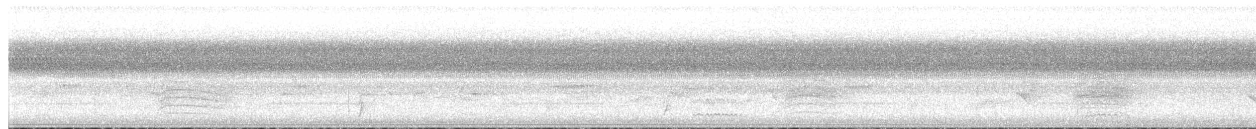 Swainson's Thrush - ML642072804