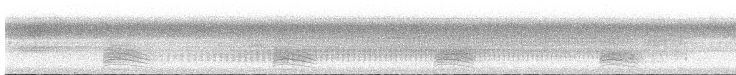 ימימן אמריקני - ML642073712