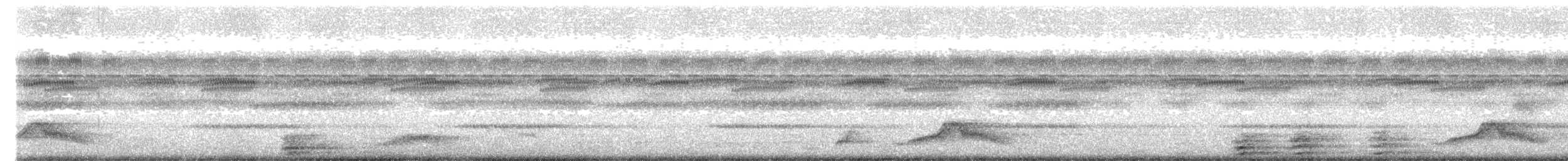 Common Pauraque - ML642075669