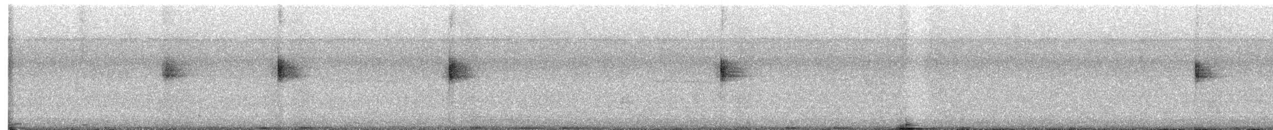Northern Waterthrush - ML642079042