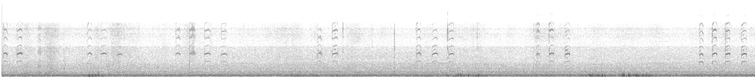 Oedicnème du Pérou - ML642081054