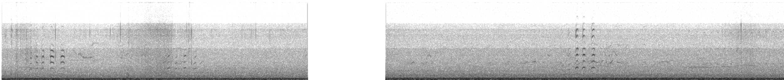 Oedicnème du Pérou - ML642081485