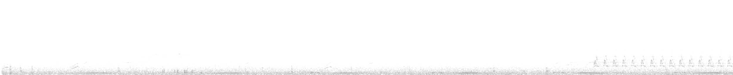 Band-tailed Pigeon - ML642081628
