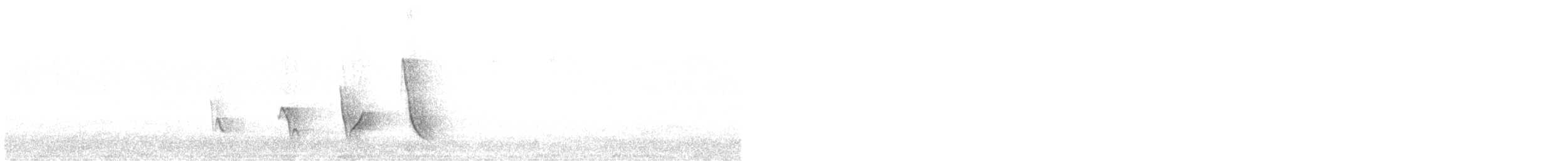 Diuca Finch - ML642082344