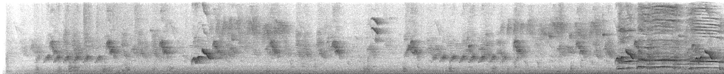 Buff-breasted Wren - ML642084560