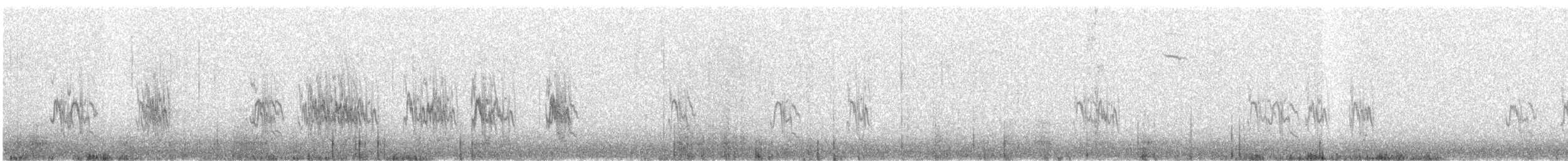 Mountain Parakeet - ML642084974