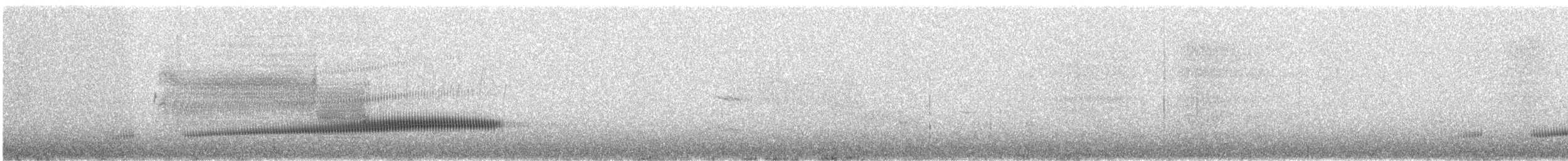 Strichelkopf-Ameisenpitta - ML642085212