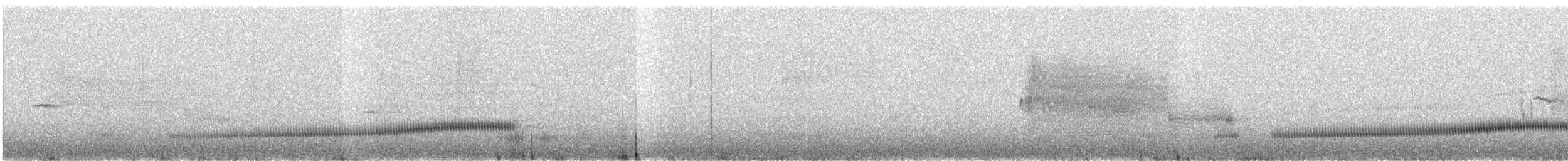 Strichelkopf-Ameisenpitta - ML642085213