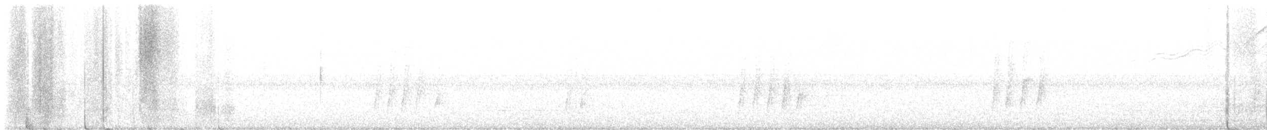 Wood Thrush - ML642085416