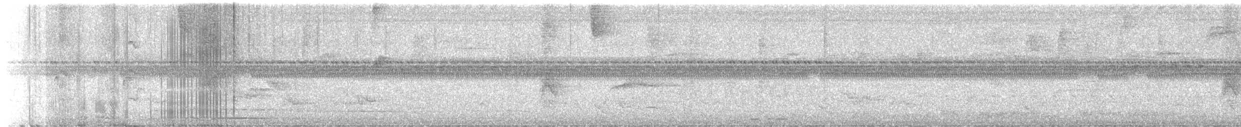 Black-faced Antthrush - ML642086108