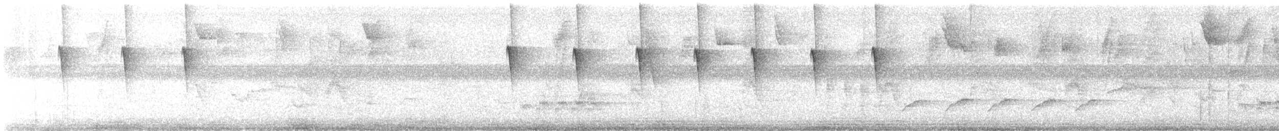 Checker-throated Stipplethroat - ML642086343