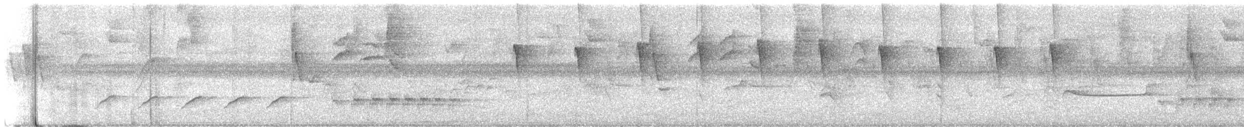 Checker-throated Stipplethroat - ML642086345