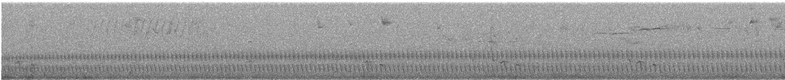 trilletapakulo - ML642086683