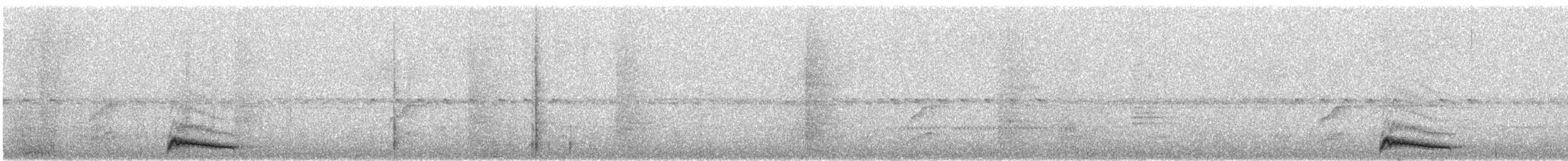 Engoulevent ocellé - ML642086948