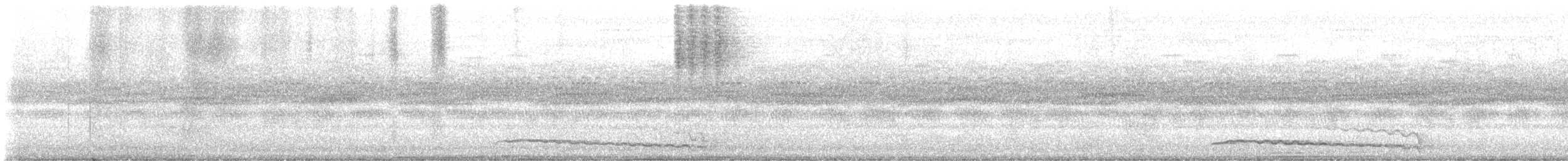 Eastern Screech-Owl - ML642087082