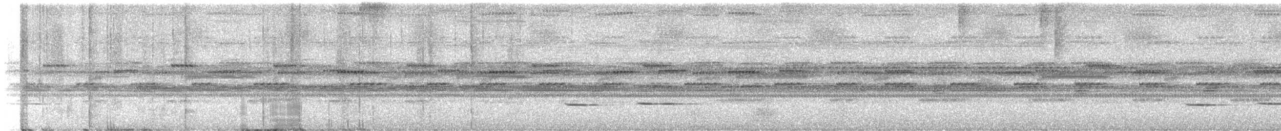 Streifenkuckuck - ML642087846