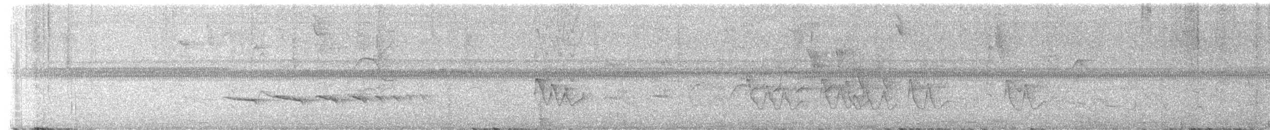 Recurve-billed Bushbird - ML642088316