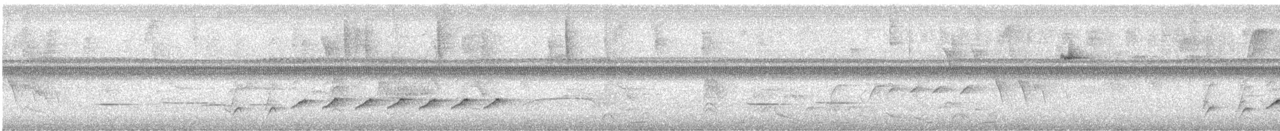 Long-billed Gnatwren - ML642088400