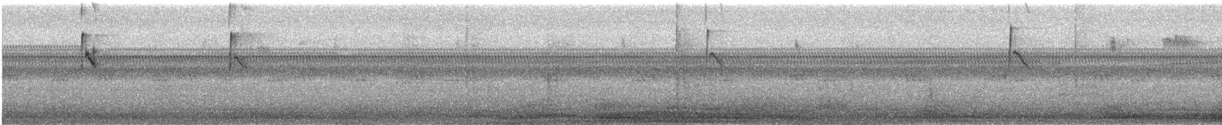 Tyran tritri - ML642088865