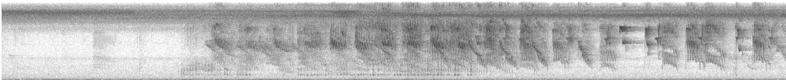 Social Flycatcher - ML642089367