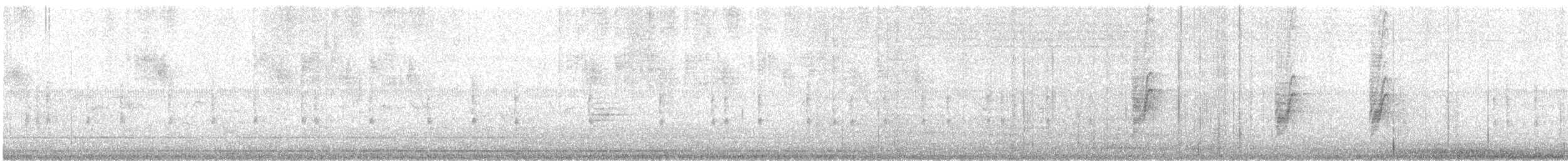 Bewick's Wren - ML642094026