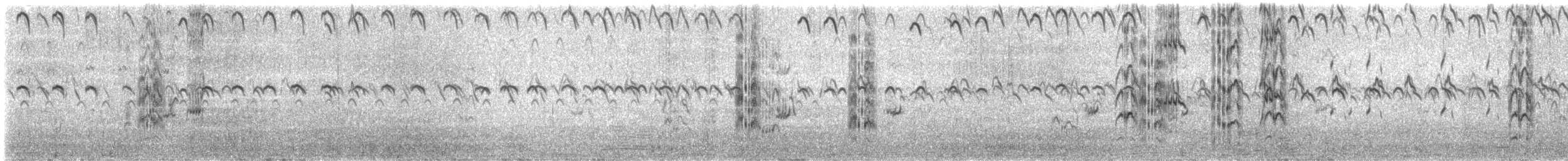 サンドイッチアジサシ（acuflavidus） - ML642094120