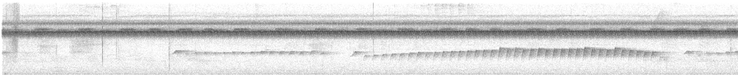 Silberameisenschnäpper - ML642094747