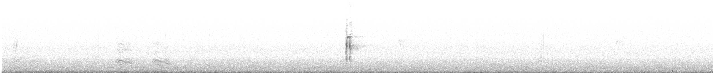 Hairy Woodpecker - ML642095211