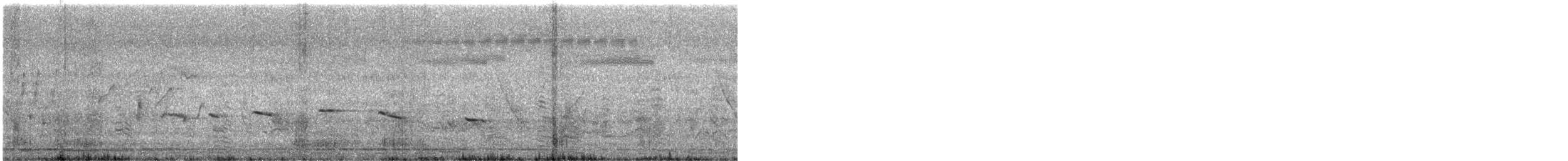 White-browed Fantail - ML642099277