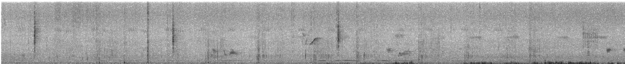 Passeriformes, unbestimmt (Old World warbler sp.) - ML642100214
