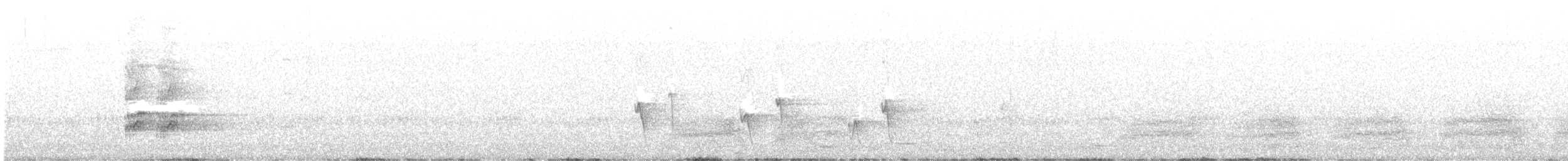 Gray Currawong - ML642100922