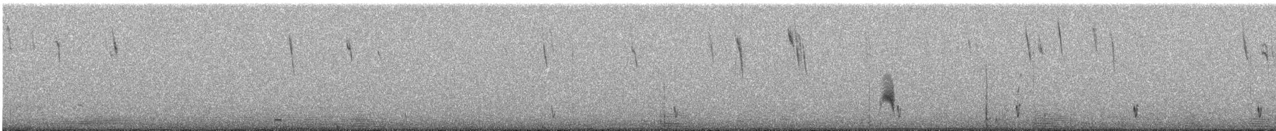 Puna Plover - ML642103329