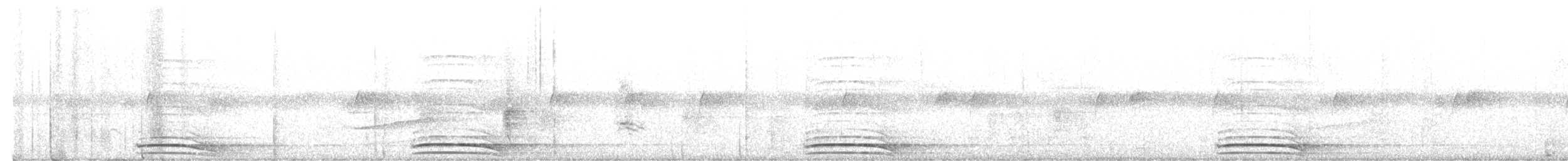 Collared Forest-Falcon - ML642104177